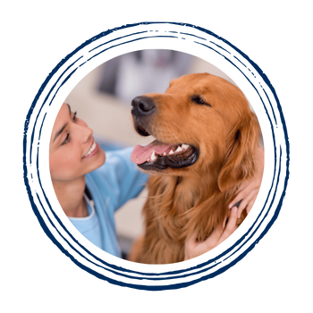  A vet holding a dog