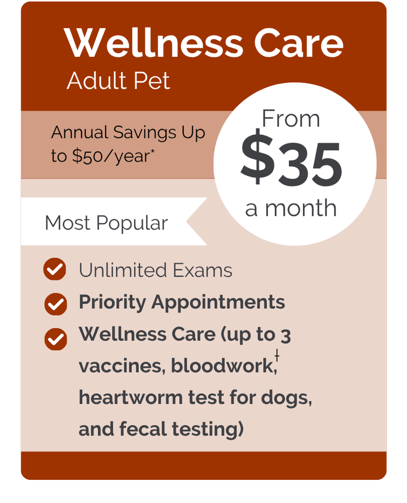 B&A VIPet Plan_pricing_Wellness_Modern